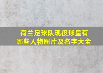 荷兰足球队现役球星有哪些人物图片及名字大全