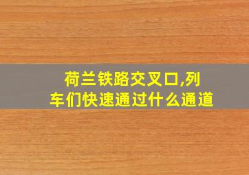 荷兰铁路交叉口,列车们快速通过什么通道