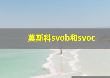 莫斯科svob和svoc