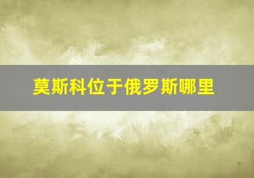 莫斯科位于俄罗斯哪里