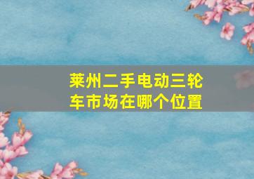 莱州二手电动三轮车市场在哪个位置