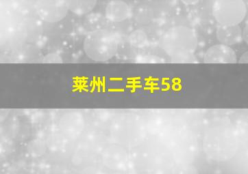 莱州二手车58