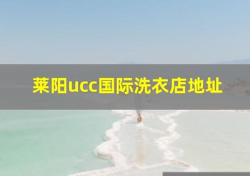 莱阳ucc国际洗衣店地址