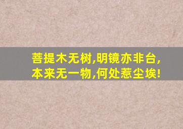 菩提木无树,明镜亦非台,本来无一物,何处惹尘埃!