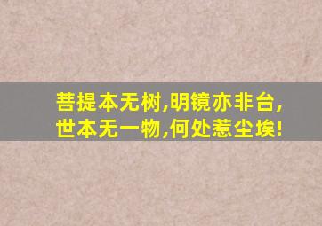 菩提本无树,明镜亦非台,世本无一物,何处惹尘埃!