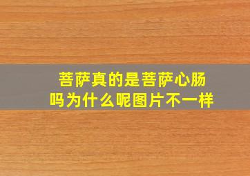 菩萨真的是菩萨心肠吗为什么呢图片不一样