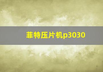 菲特压片机p3030