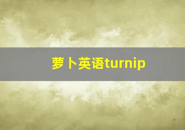 萝卜英语turnip