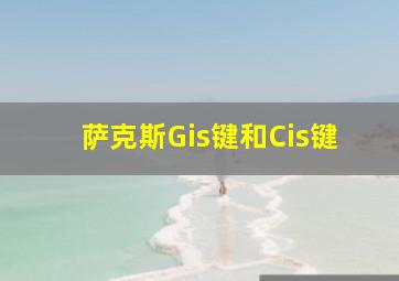 萨克斯Gis键和Cis键