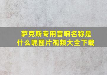 萨克斯专用音响名称是什么呢图片视频大全下载