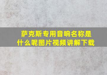 萨克斯专用音响名称是什么呢图片视频讲解下载