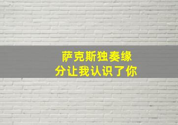 萨克斯独奏缘分让我认识了你