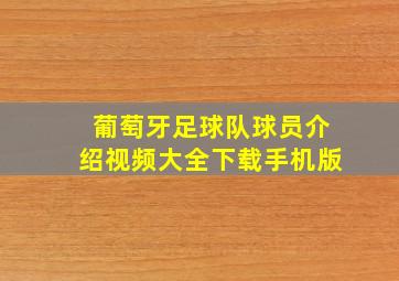 葡萄牙足球队球员介绍视频大全下载手机版