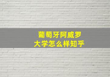 葡萄牙阿威罗大学怎么样知乎