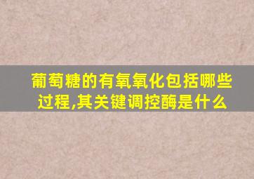 葡萄糖的有氧氧化包括哪些过程,其关键调控酶是什么