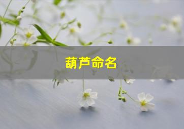 葫芦命名