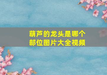 葫芦的龙头是哪个部位图片大全视频