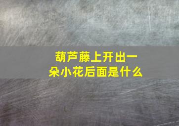 葫芦藤上开出一朵小花后面是什么