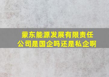 蒙东能源发展有限责任公司是国企吗还是私企啊