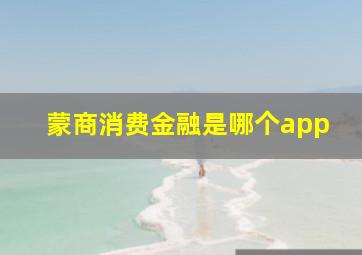 蒙商消费金融是哪个app