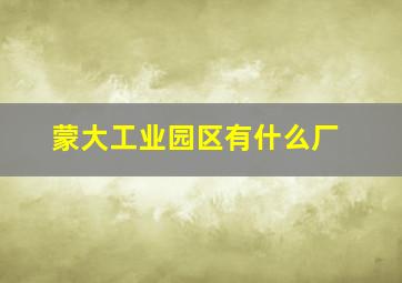 蒙大工业园区有什么厂