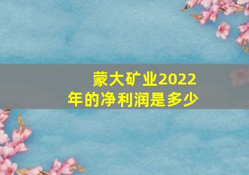 蒙大矿业2022年的净利润是多少