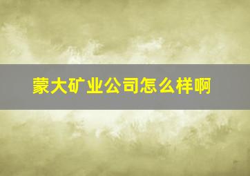 蒙大矿业公司怎么样啊