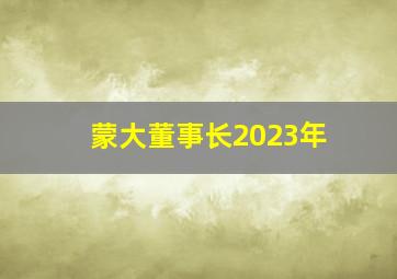 蒙大董事长2023年