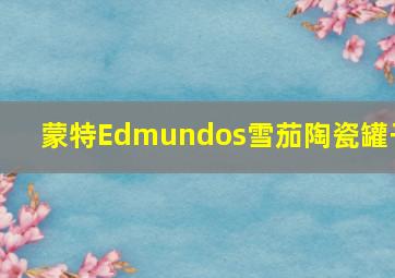 蒙特Edmundos雪茄陶瓷罐子