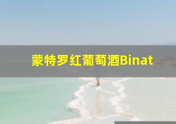 蒙特罗红葡萄酒Binat