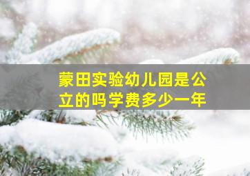 蒙田实验幼儿园是公立的吗学费多少一年