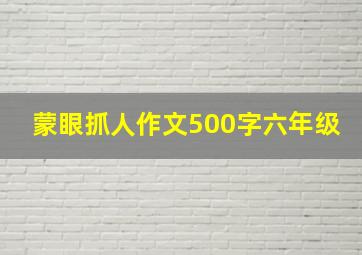 蒙眼抓人作文500字六年级