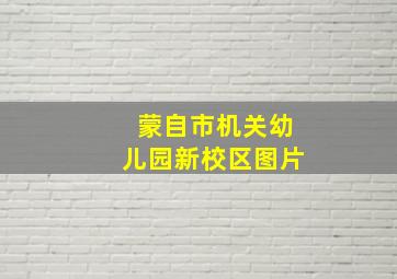 蒙自市机关幼儿园新校区图片