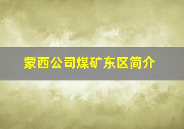 蒙西公司煤矿东区简介