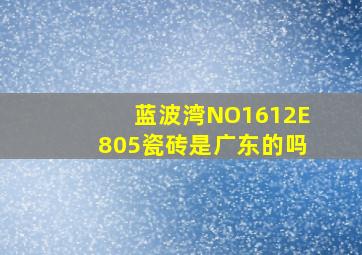 蓝波湾NO1612E805瓷砖是广东的吗