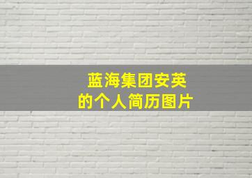 蓝海集团安英的个人简历图片