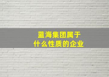 蓝海集团属于什么性质的企业