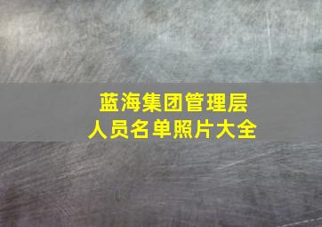 蓝海集团管理层人员名单照片大全