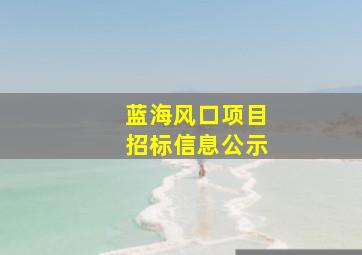 蓝海风口项目招标信息公示