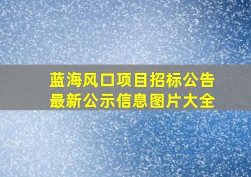 蓝海风口项目招标公告最新公示信息图片大全