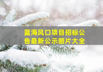 蓝海风口项目招标公告最新公示图片大全