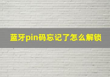 蓝牙pin码忘记了怎么解锁