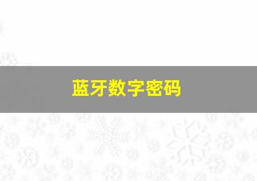 蓝牙数字密码