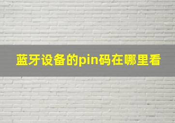 蓝牙设备的pin码在哪里看