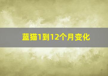 蓝猫1到12个月变化