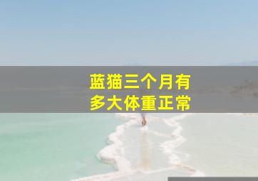 蓝猫三个月有多大体重正常