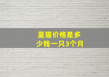 蓝猫价格是多少钱一只3个月