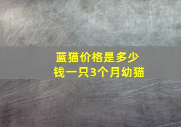 蓝猫价格是多少钱一只3个月幼猫