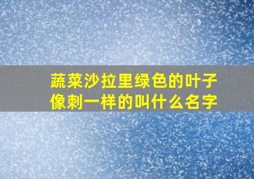 蔬菜沙拉里绿色的叶子像刺一样的叫什么名字