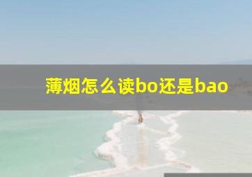 薄烟怎么读bo还是bao